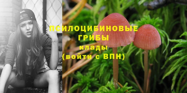 Альфа ПВП Абаза